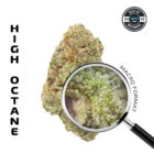 HIGH OCTANE (Indica) — Premium Flower