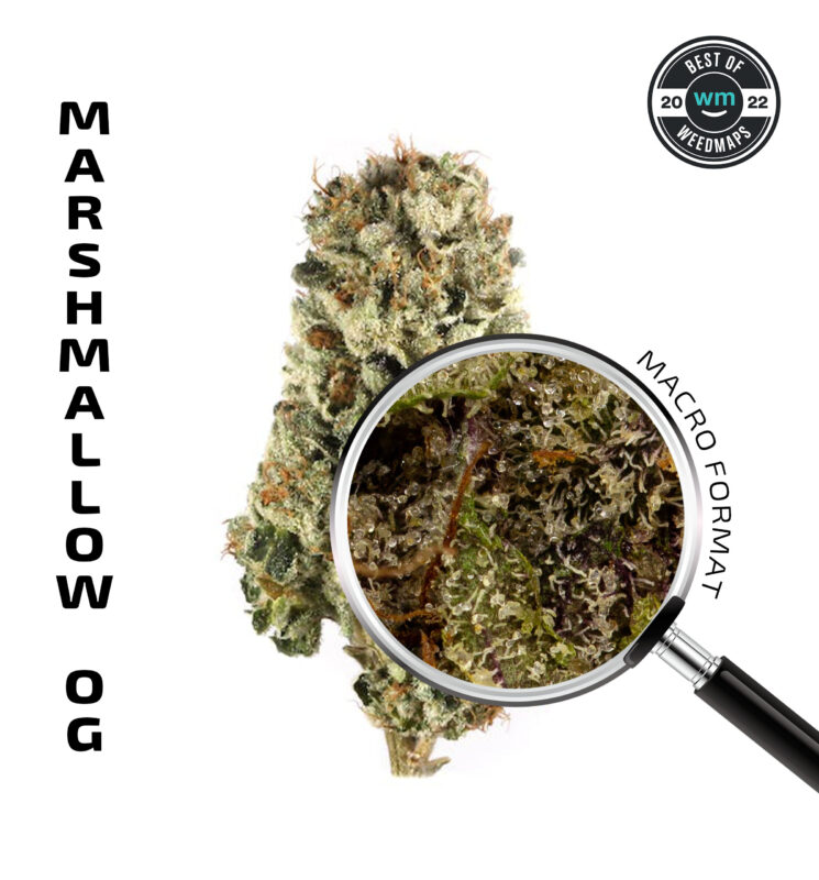 Marshmallow OG Weed Strain