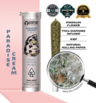 paradise cream indica infused mini joint with kief 0.5g premium cannabis pre-roll