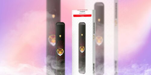 APE Disposable Vape