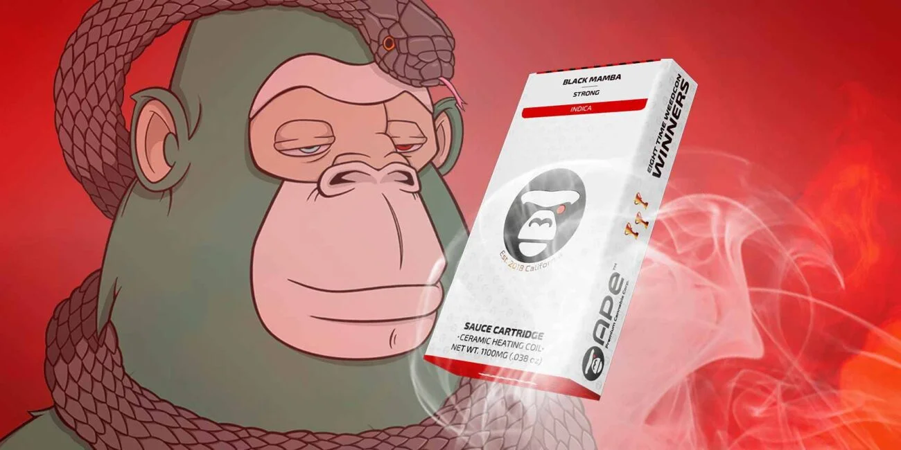 Branded monkey APE with a snake around the neck looks at the packaging of black mamba indica cartridge