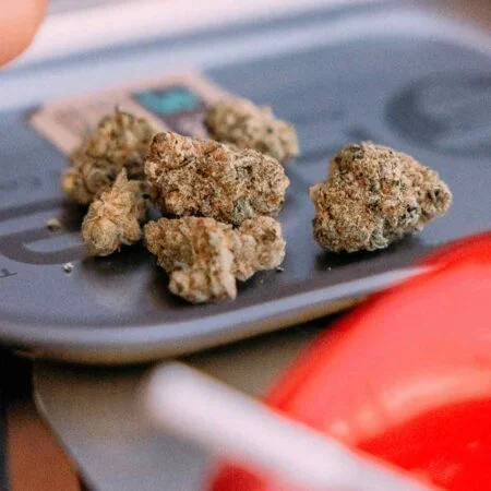 5 cannabis flower buds on an APE brand tray