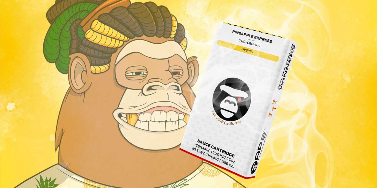 On a yellow background Branded monkey APE with dreadlocks on the head looks at the packaging of Pineapple Express Hybrid cartridge