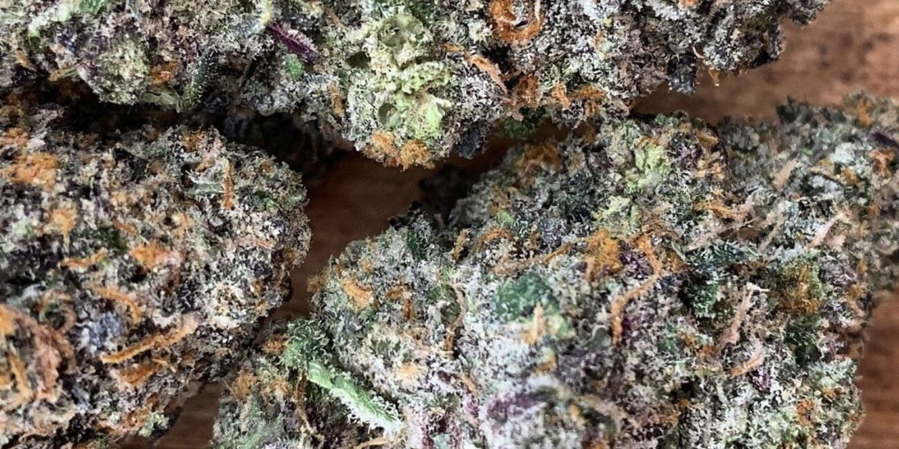 buds of Acai Berry Gelato strain