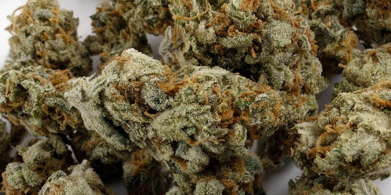 Amnesia Haze strain buds
What's the rarest weed strain?