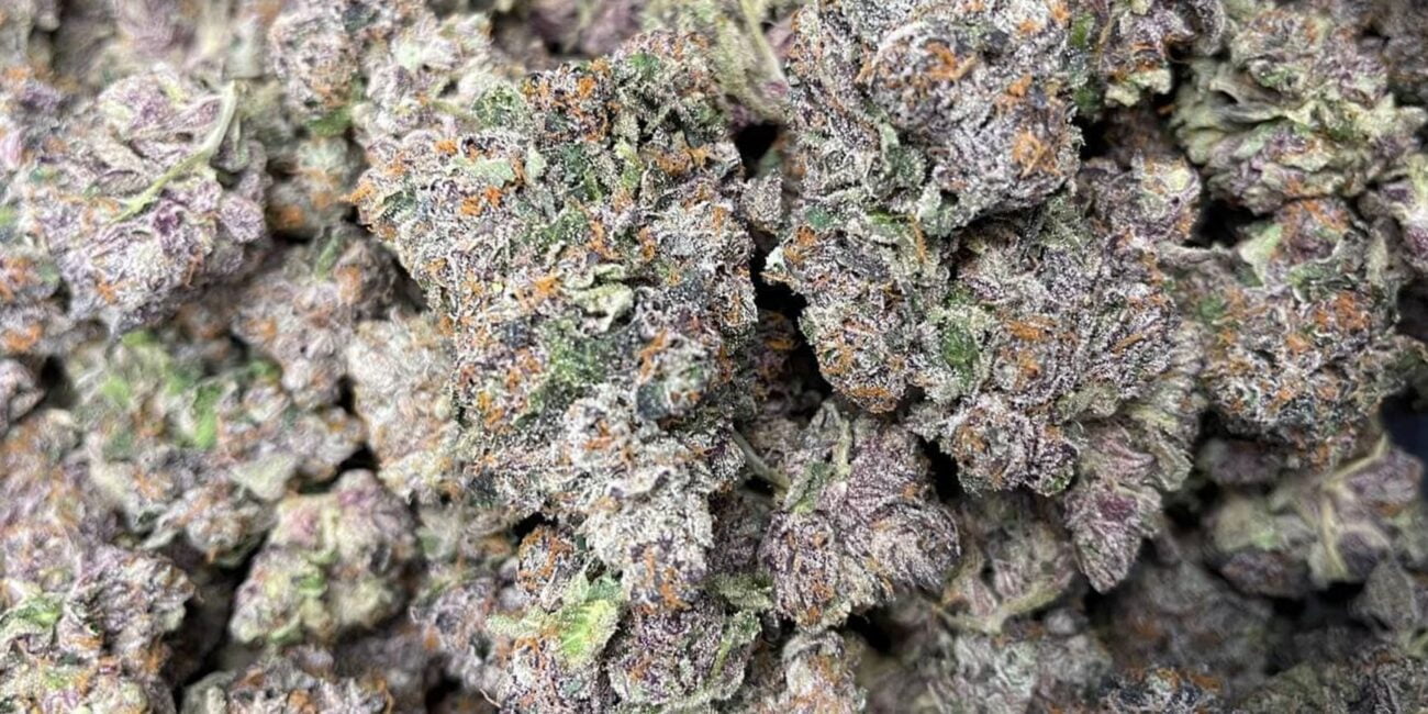 Hybrid Strains: The Best of Indica and Sativa
Buds of cannabis strain Bubble Gum