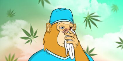 Ape with a red nose holds a napkin, weed leaves are flying around Can you be allergic to weed?