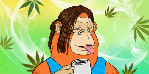 APE sits and enjoys cannabis tea