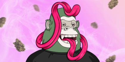 Ape with a long tounge Cannabis in Your System: How Long Does it Stay