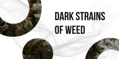 Cannabis buds and black lettering