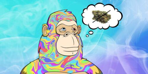 APE thinks how to recover from weed