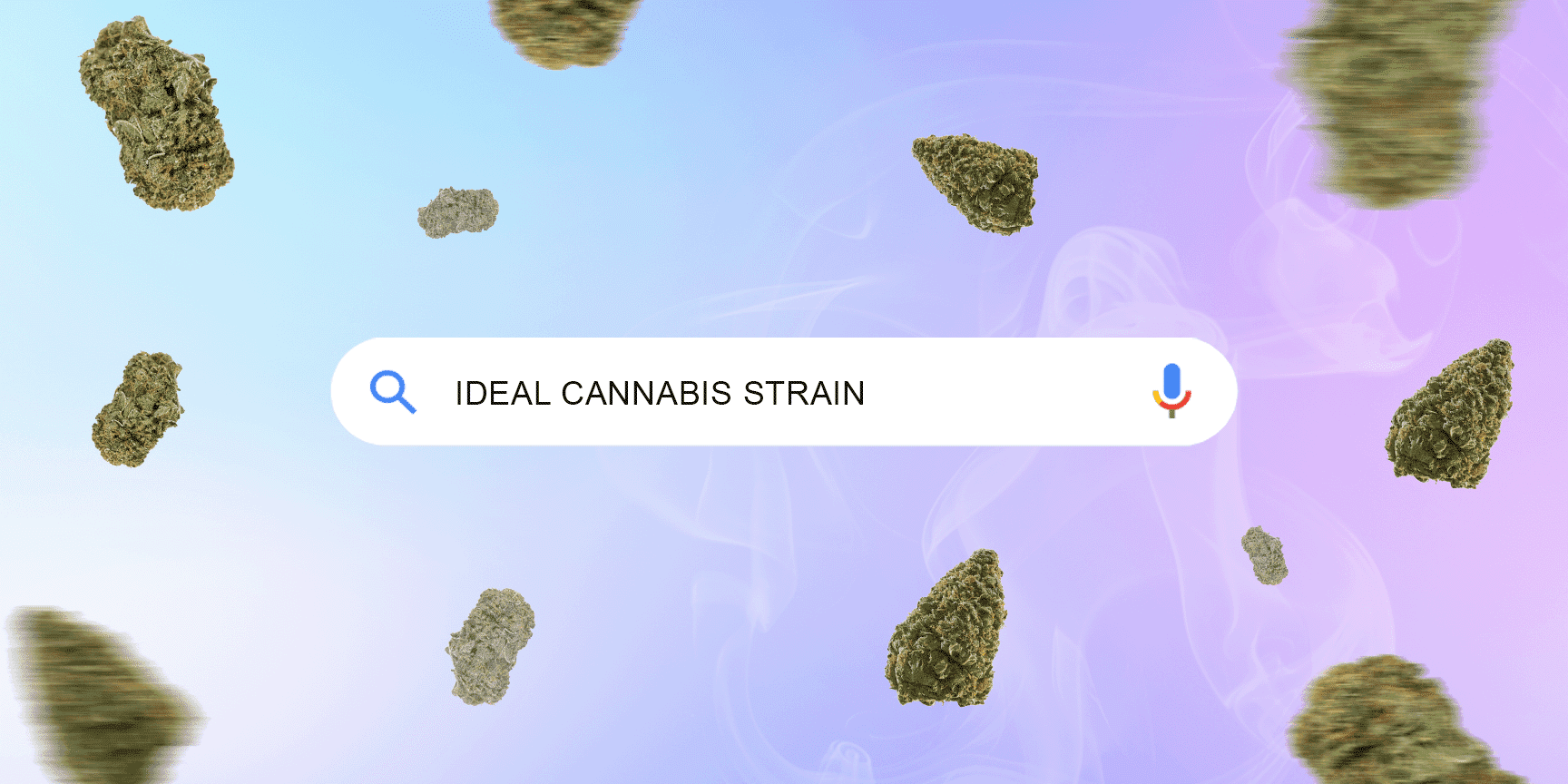 How to choose your ideal cannabis strain the inscription "the perfect cannabis variety", colored background and cannabis buds