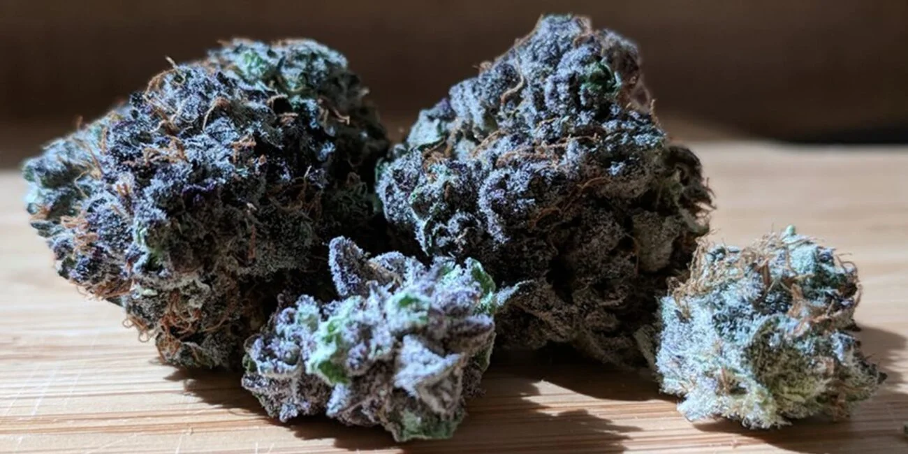 Buds of the cannabis strain The Black
Dark strains of weed
