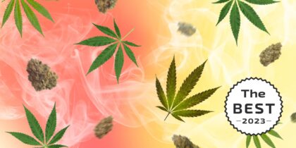 The strongest sativa strains on earth in 2023 color background and inscription