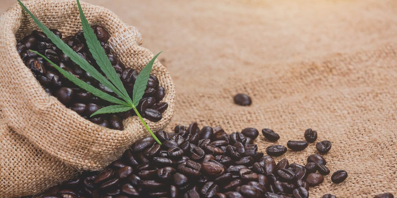 coffee beans and cannabis leaf
Dynamic duo of weed and caffeine