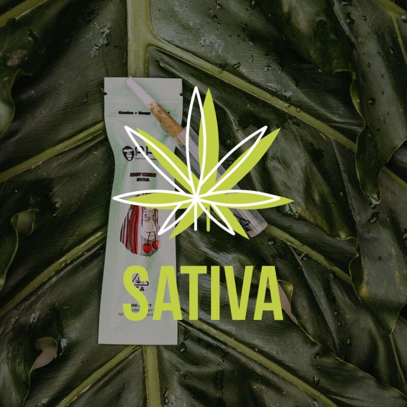 Sativa label
What are the strains of weed?
A Joint with a heady cherry flavor and a mint package lies on green leaves