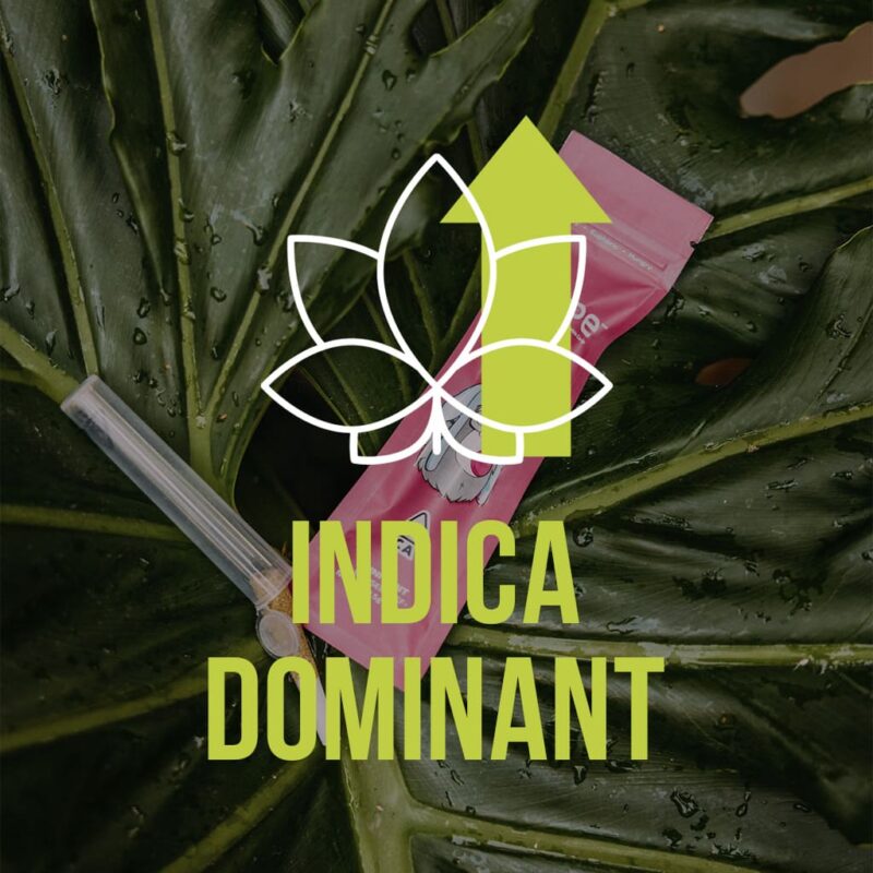 Indica-dominant label
What are the strains of weed?
A Joint with a bubble gum flavor and a pink package lies on green leaves