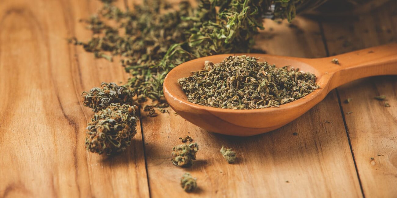 buds of cannabis on on a wooden spoon