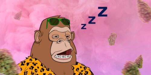 APE yawns and thinks Does sativa make you sleepy?