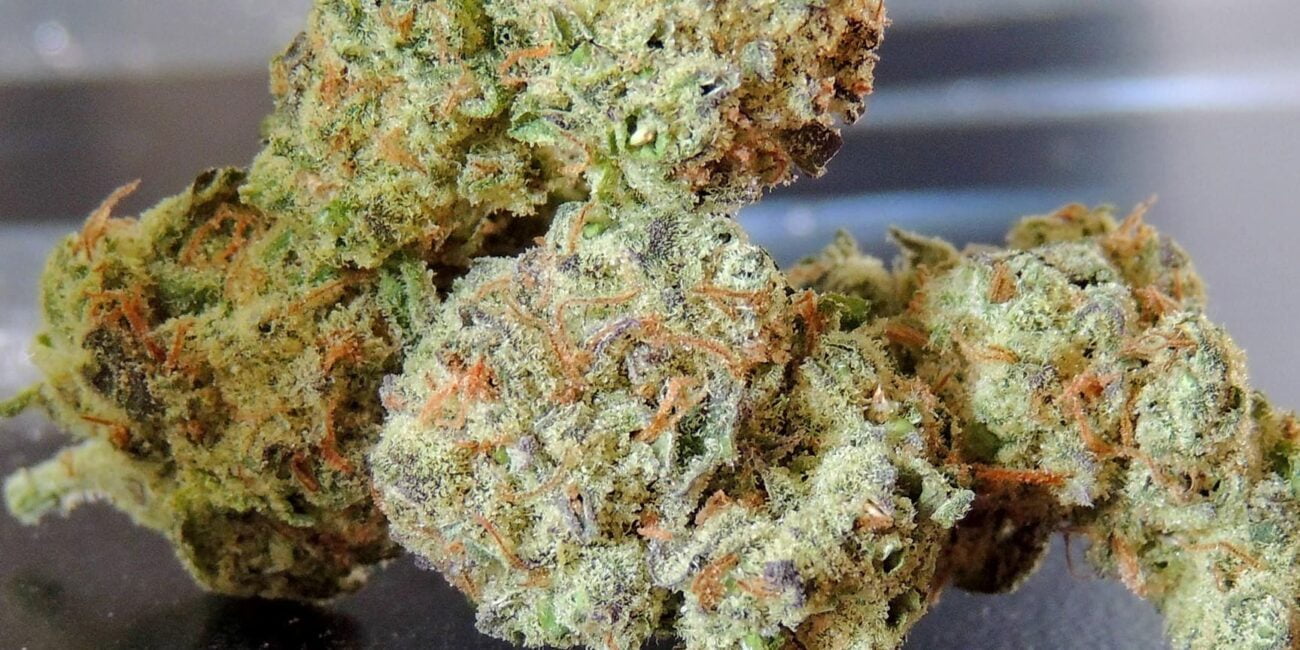 weed strain liberty haze