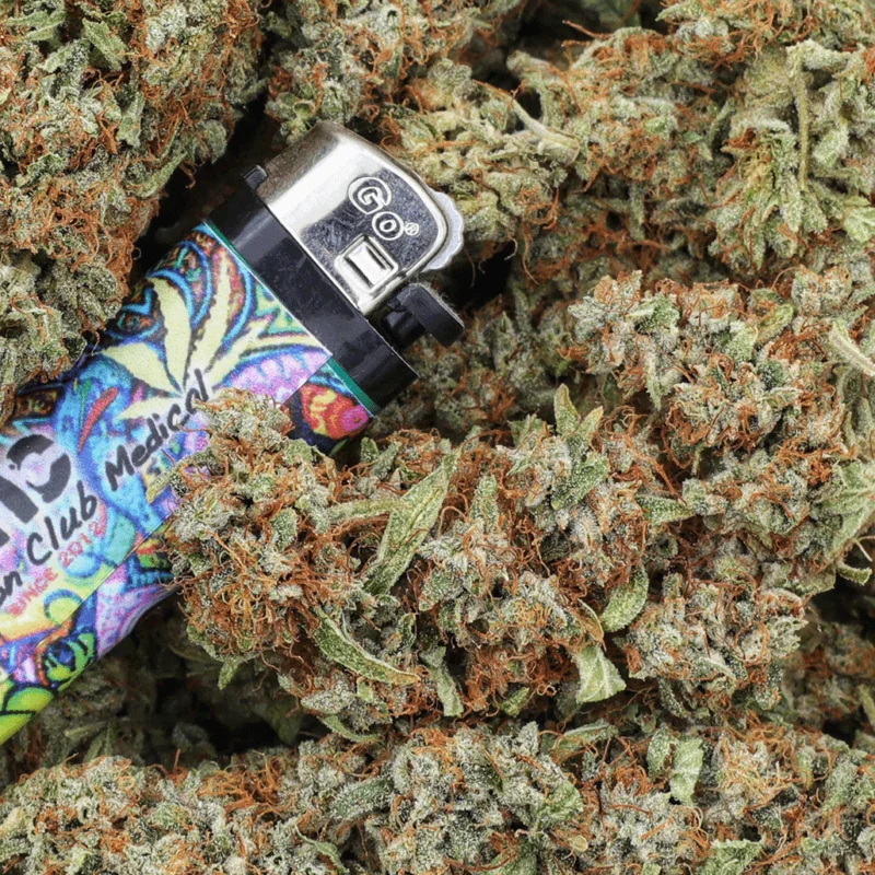 colorful lighter lying among the weed