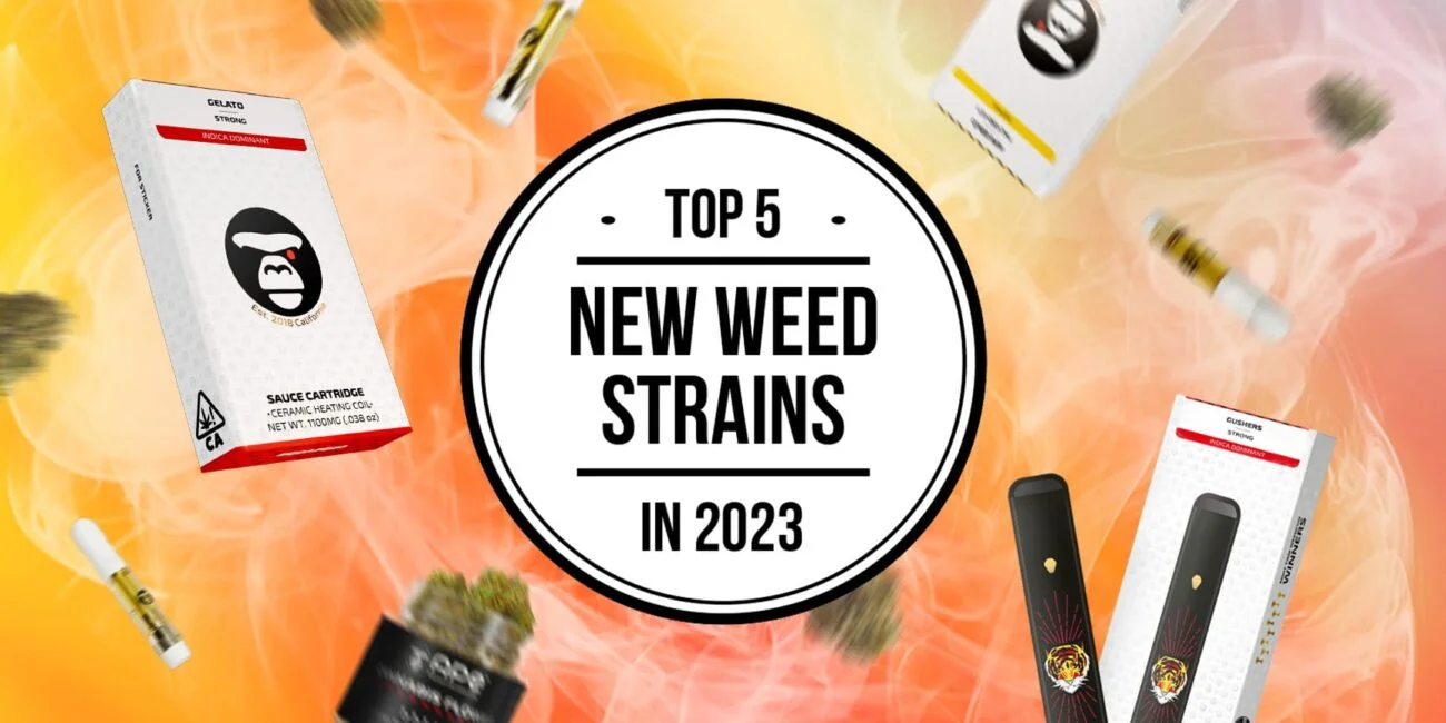 top 5 new weed strains in 2023