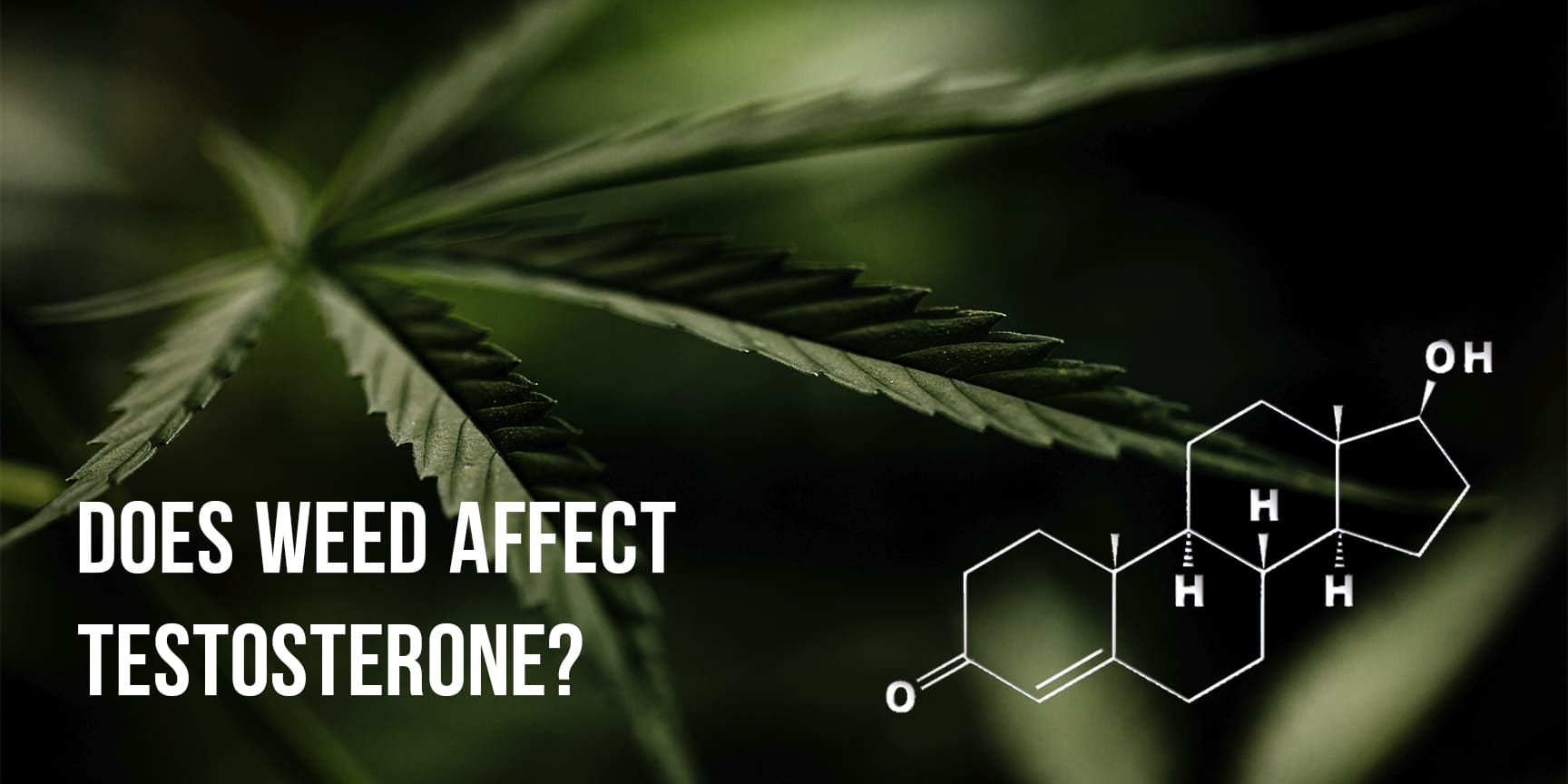 Cannabis leaves and lettering "Does weed affect testosterone"