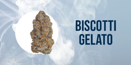 Cannabis bud and lettering Biscotti Gelato