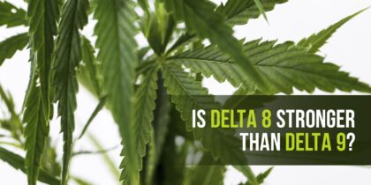 Cannabis leaves and lettering