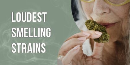 Loudest smelling strains of weed
