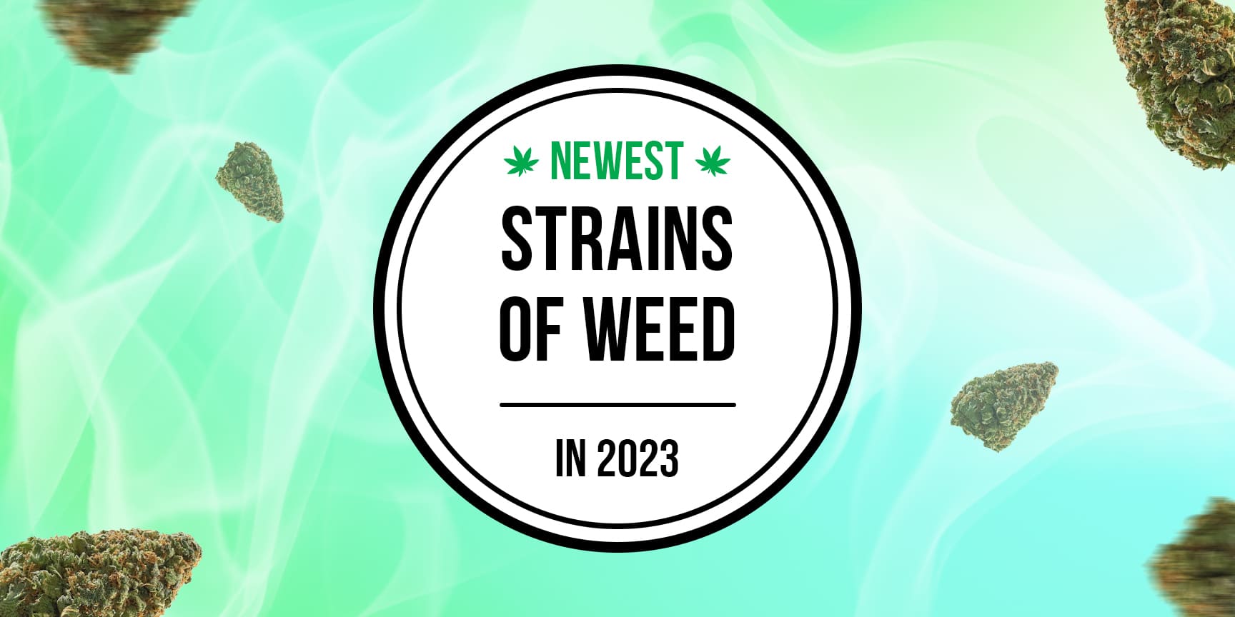 Lettering "Newest strains of weed"