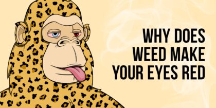 Ape and lettering "Why does weed make your eyes red?"