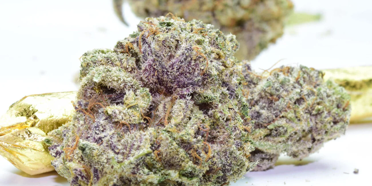 Buds of the Purple OG strain