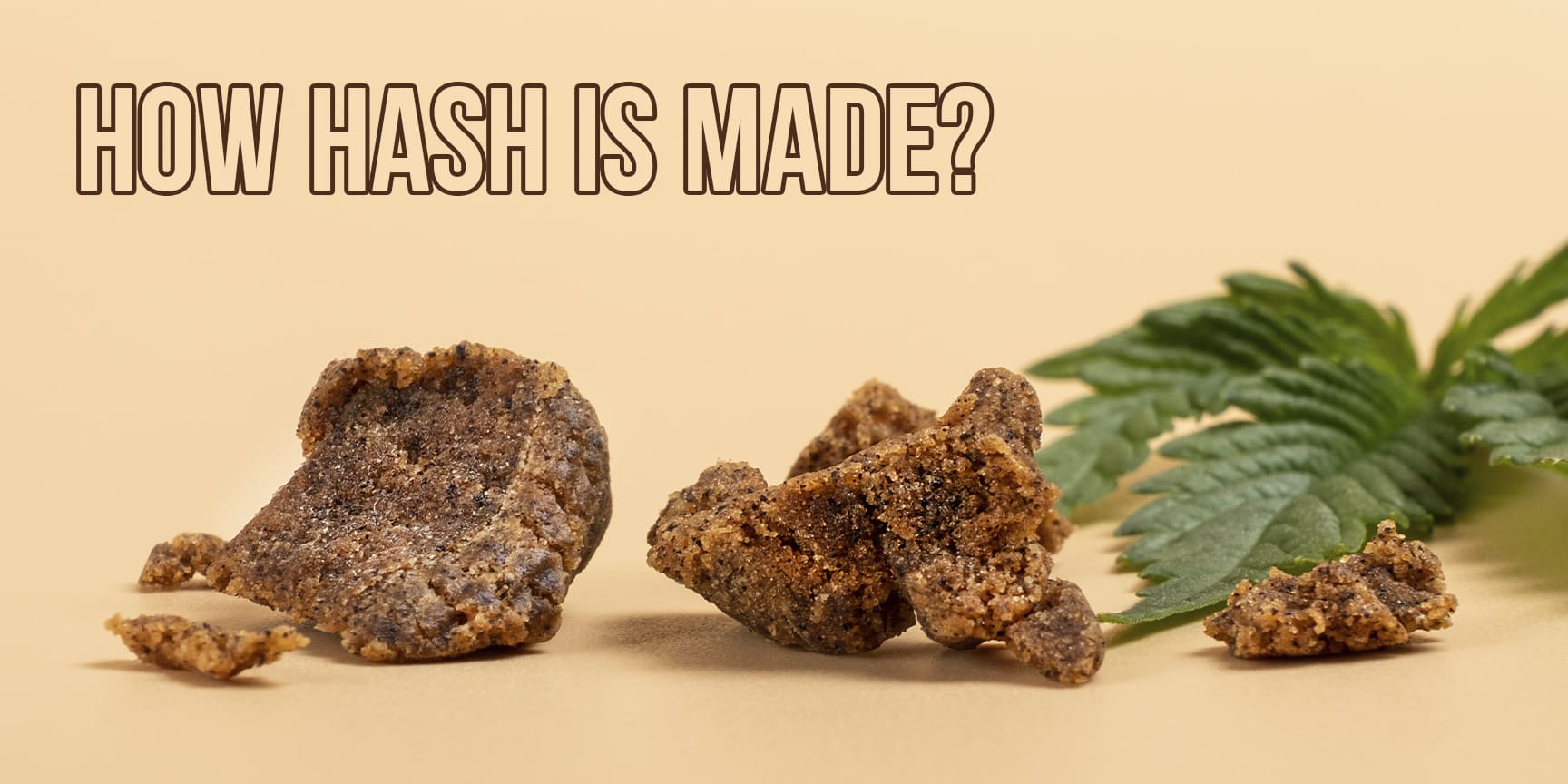 hash and weed plant