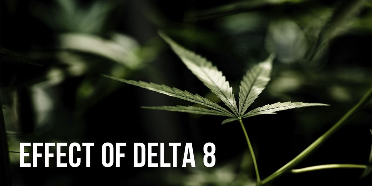 Unveiling the Effects of Delta 8 THC: A Brief Overview
Cannabis leaves and lettering "Effect if delta 8"