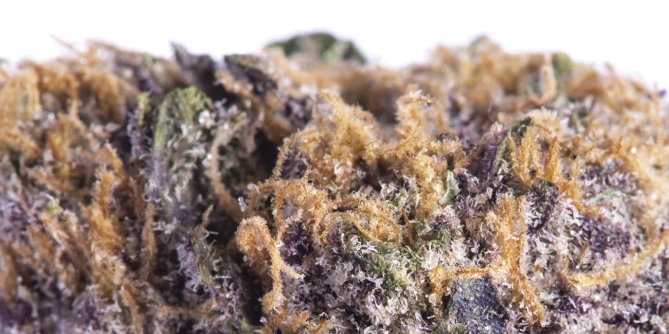 buds of cannabis strain Grand Daddy Purple
Rappers’ favourite weed strains