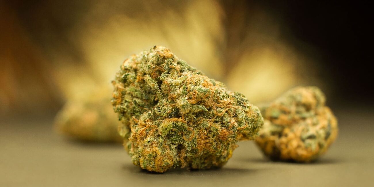 Top 5 landrace cannabis strains
Buds of the cannabis strain Acapulco Gold 