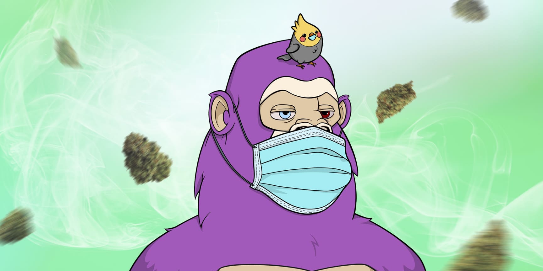 Ape's wearing a medical mask