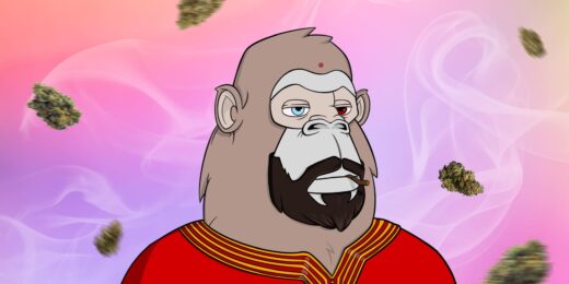 Ape looks like a Buddhist monk