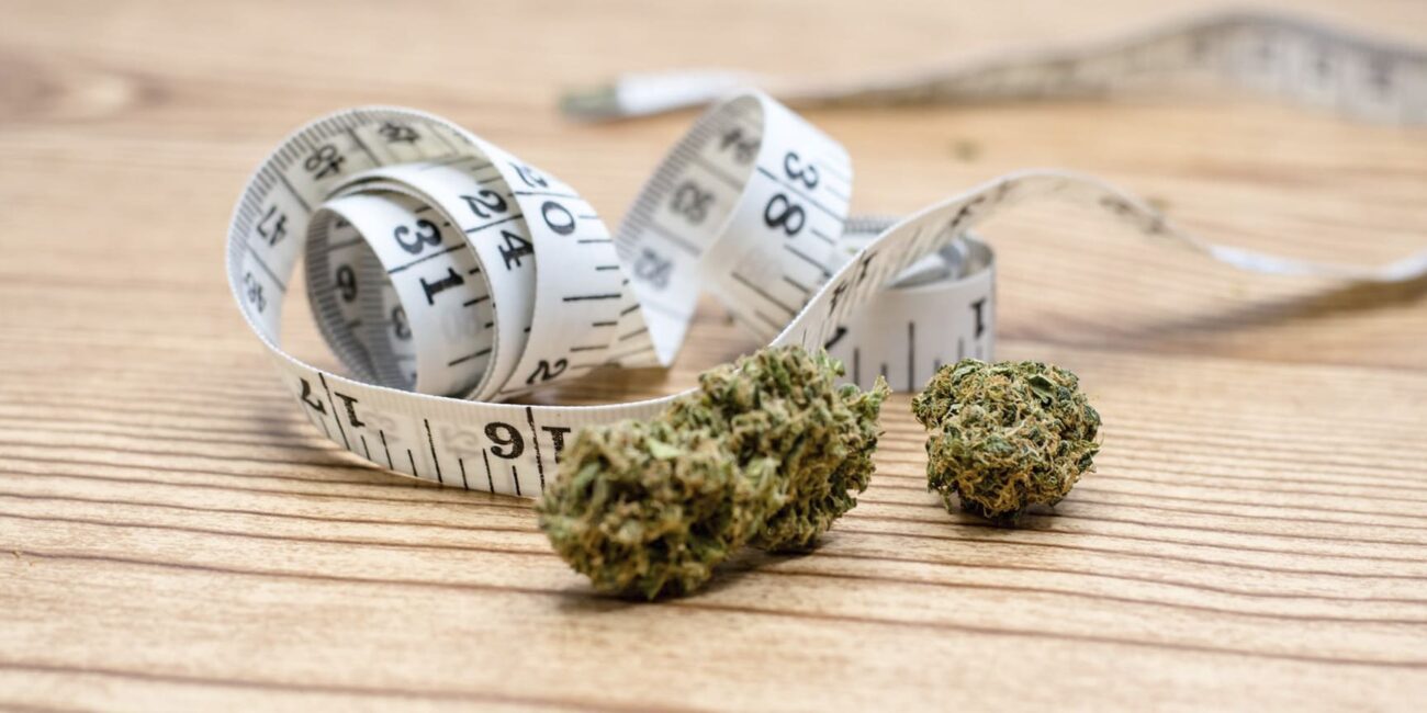 cannabis buds and a ruler