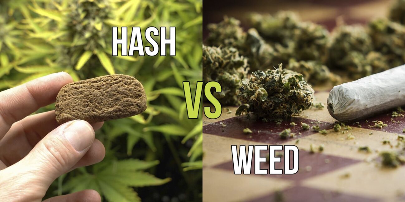 Hashish and weed