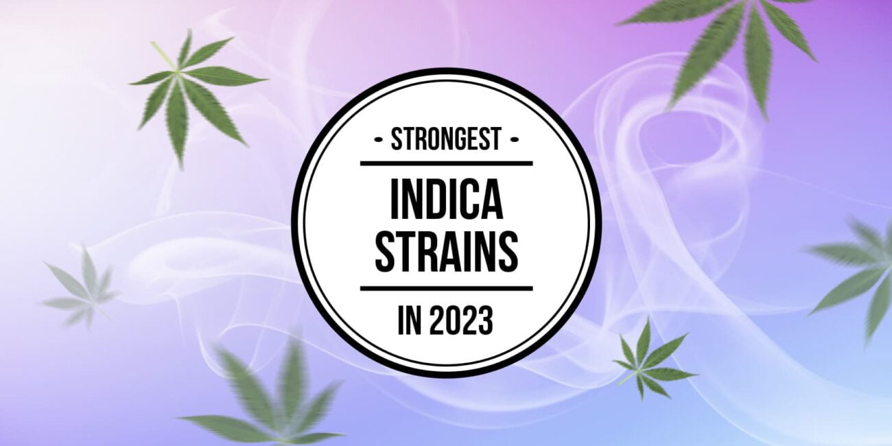 Lettering "Strongest indica strains in 2023"