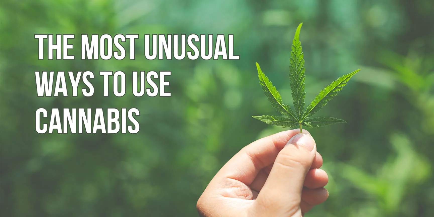 Lettering "The most unusual ways to use cannabis" and cannabis leave