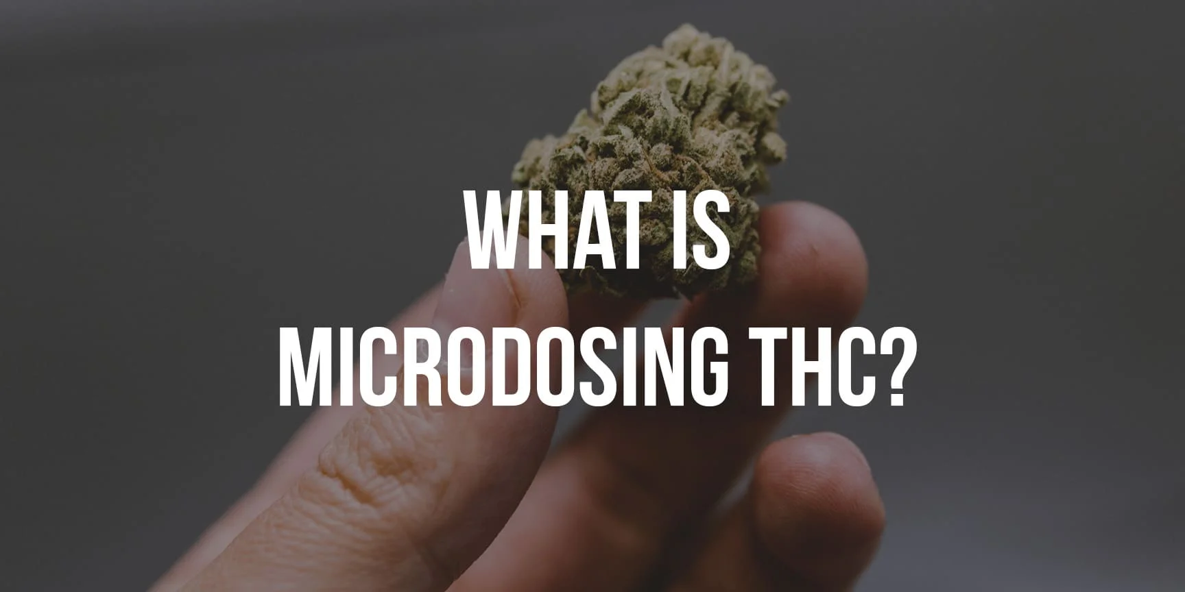 cannabis bud and lettering "What is Microdosing THC?"