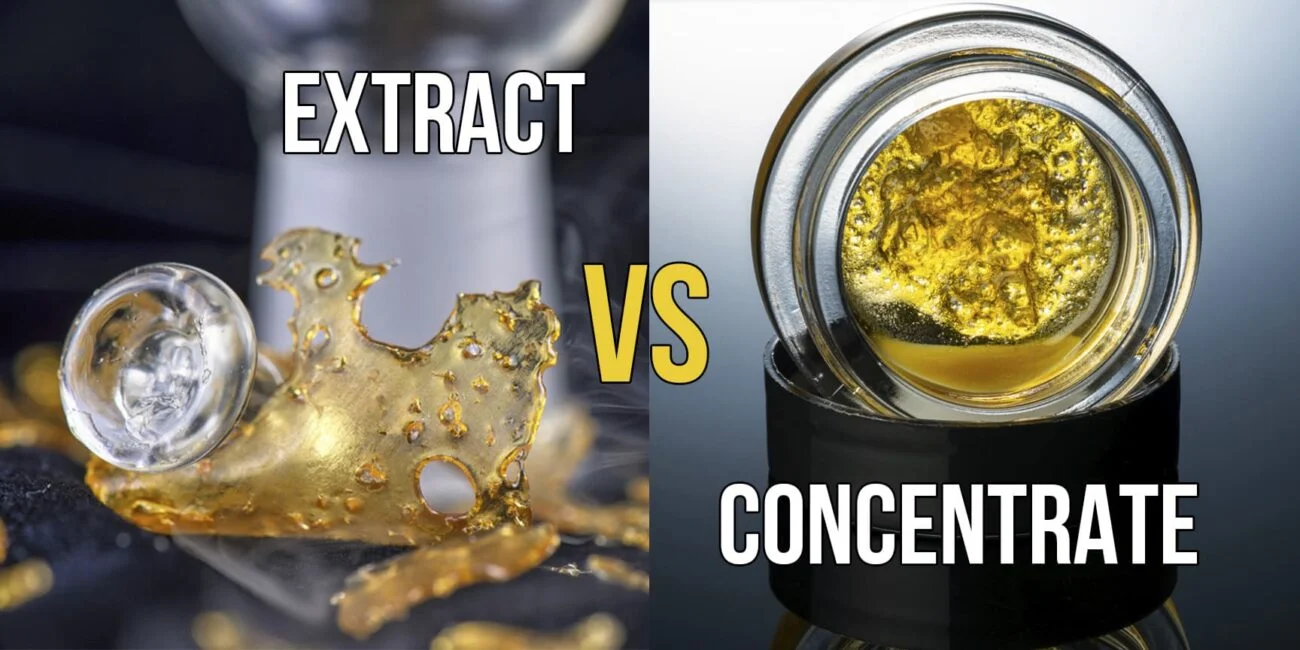 extract vs concentrate
