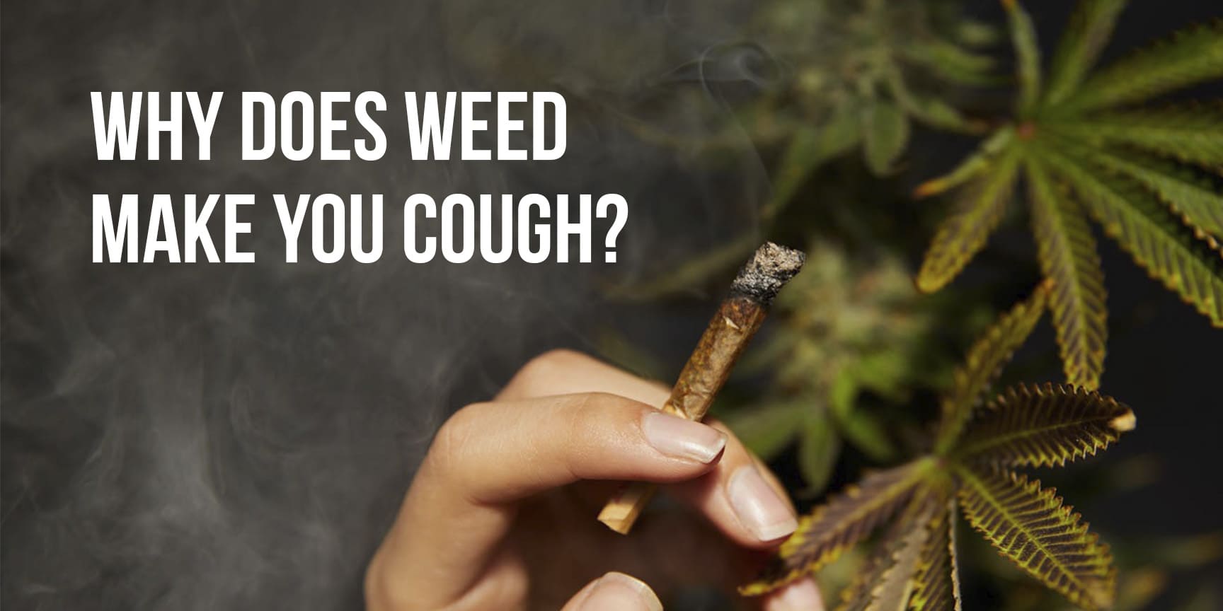 A person's holding a blunt and lettering "Why does weed make you cough?"