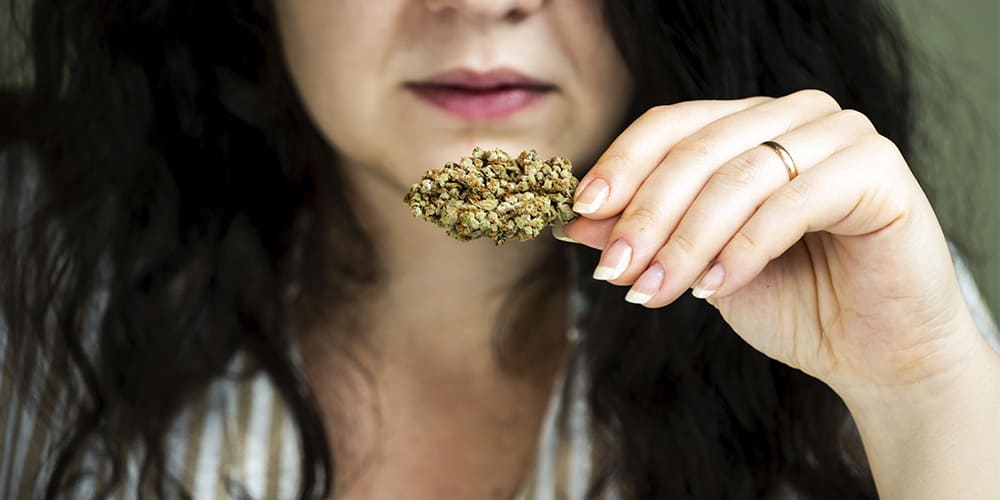 a person holds cannabis bud
stop smoking weed