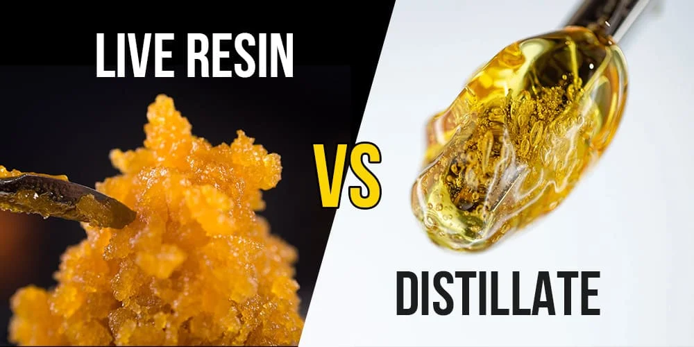Live resin vs Distillate
