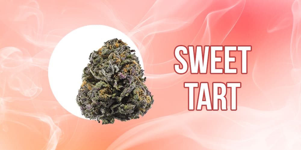 Sweet Tart Strain A Symphony of Sensations in Every Puff APE Premium Cannabis