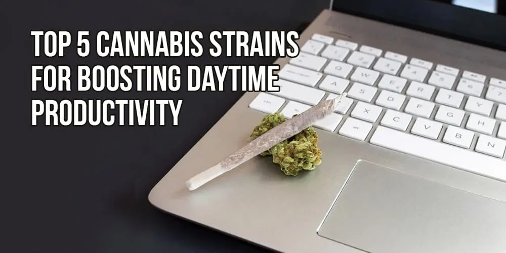 strains for productivity